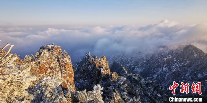 石猴觀雪景 蔡季安 攝