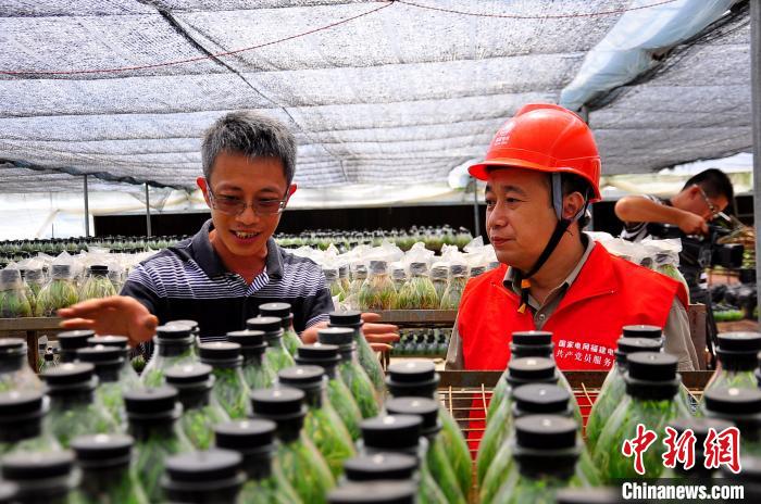 臺商王冠力：幸福花開紅土地