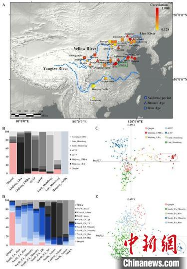 仰韶文化人群和現(xiàn)代人群有何關(guān)系？古DNA揭示存在母系遺傳聯(lián)系