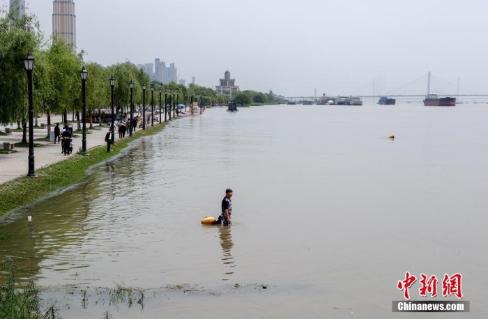 長江武漢水位逼近設(shè)防水位