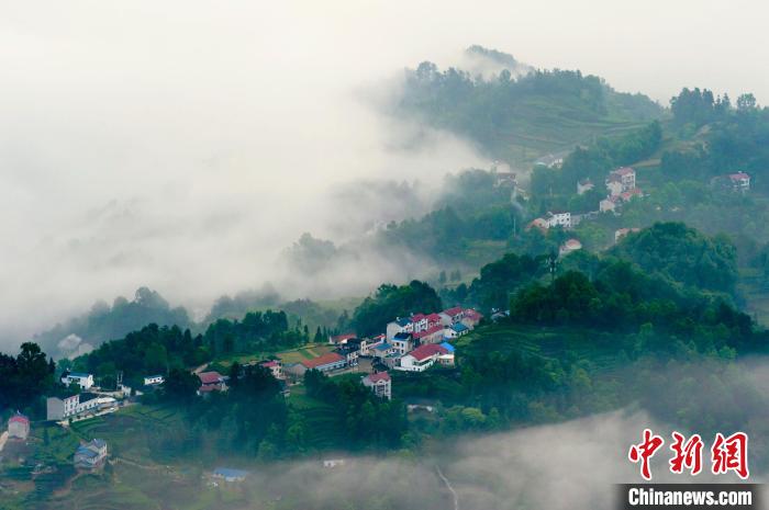 三峽庫區(qū)雨后云海浮波