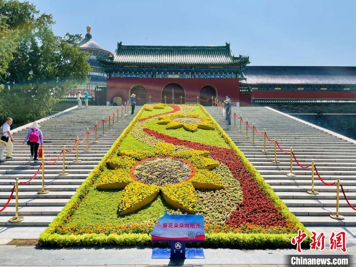 天壇公園的“葵花朵朵向陽開”主題花壇?！”本┦泄珗@管理中心供圖