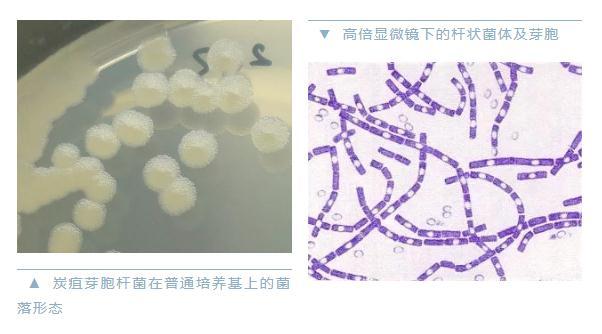 點擊進(jìn)入下一頁