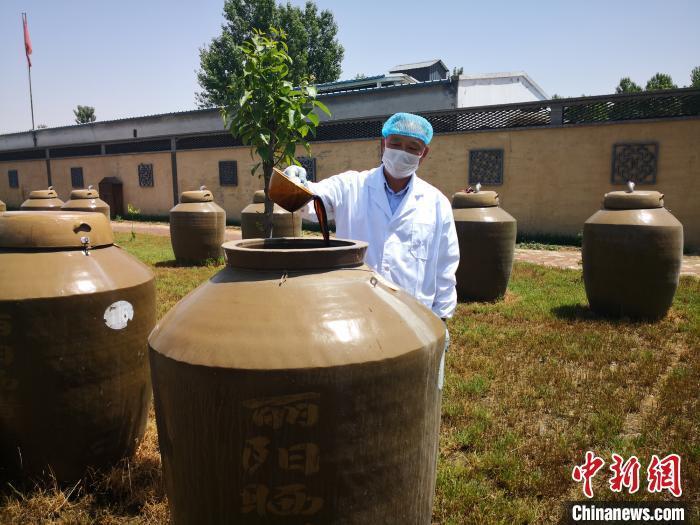 圖為釀醋手藝人在查看醋壇中的曬醋。 李洋 攝