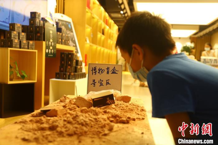 圖為在江西省博物館天工坊，一名小男孩端詳著已經(jīng)拆解完畢的“考古盲盒”現(xiàn)場。　劉占昆 攝