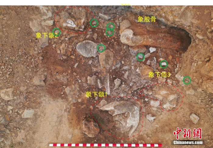 中國舊石器時(shí)代考古頻現(xiàn)重要成果