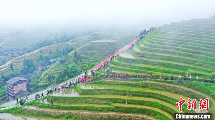 4月14日，在廣西龍勝各族自治縣龍脊鎮(zhèn)平安村，少數(shù)民族同胞身著節(jié)日盛裝開展梯田“走秀”活動?！钭谑?攝