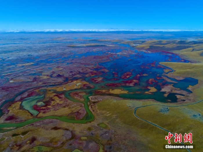 張張壁紙！黃河源頭秋景惹人醉