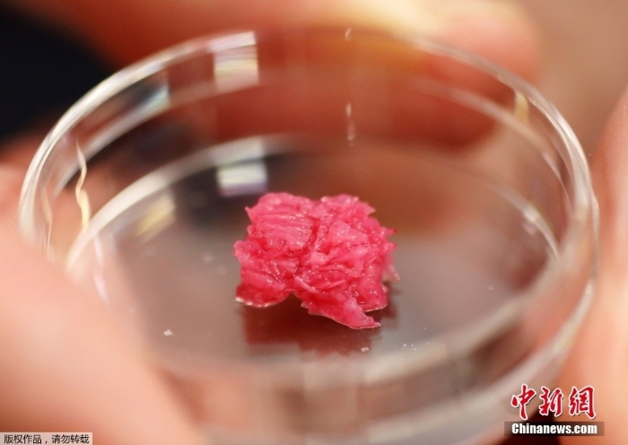 日本成功3D打印“和牛肉” 完美呈現(xiàn)其招牌大理石紋理