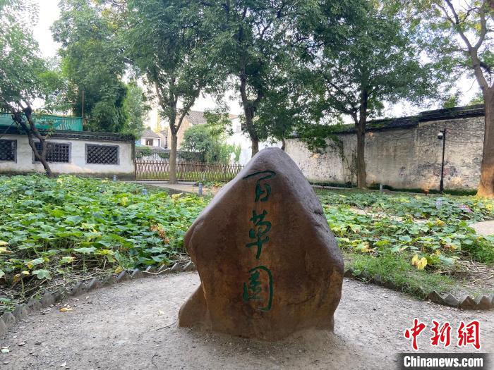 百草園。　項(xiàng)菁 攝