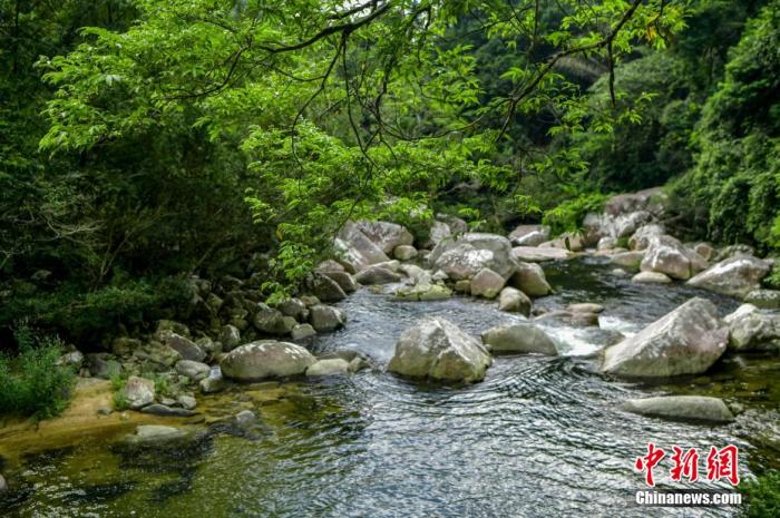 圖為海南熱帶雨林國(guó)家公園體制試點(diǎn)區(qū)吊羅山片區(qū)南喜峽谷內(nèi)的河流。