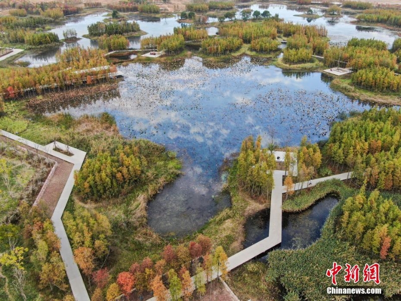 航拍江西南昌魚尾洲公園