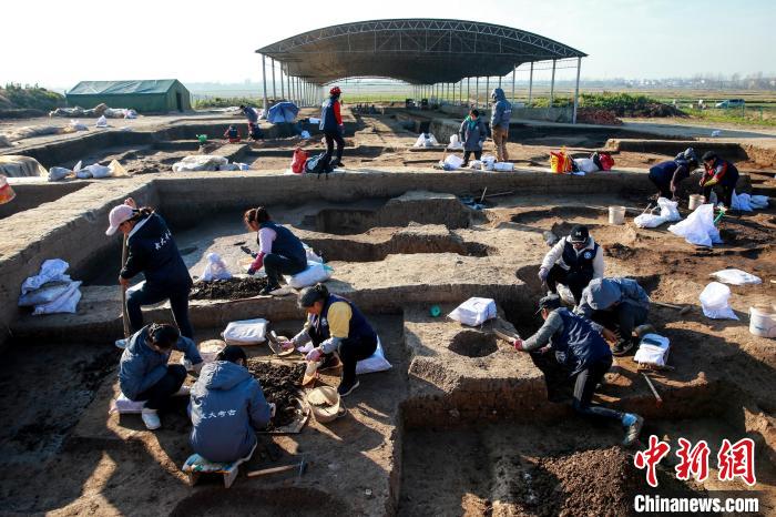 襄陽鳳凰咀遺址考古現(xiàn)場 楊東 攝