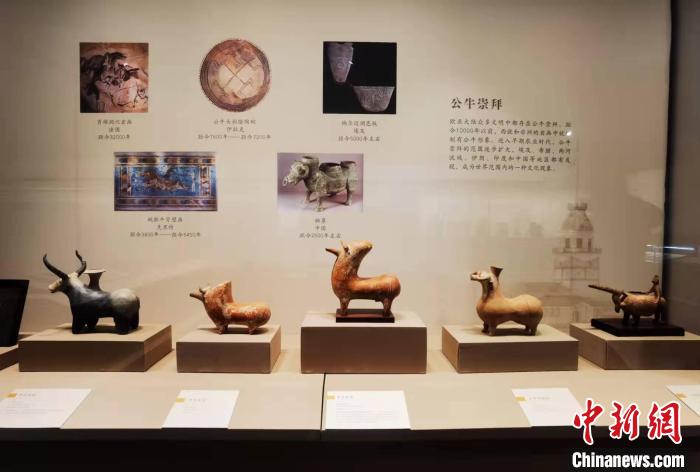 “從地中海到中國：平山郁夫絲綢之路美術(shù)館藏文物展”展品。　胡健 攝