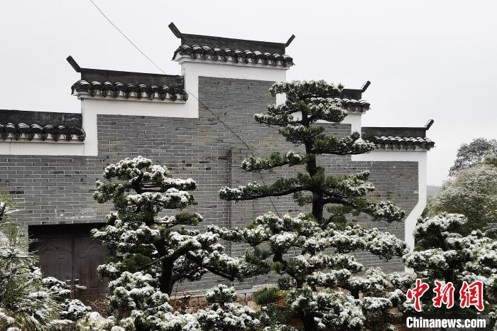 圖為：寧波奉化溪口鎮(zhèn)三十六灣村雪景在粉墻黛瓦襯托下呈現(xiàn)獨(dú)特江南景致?！≡ǔ?通訊員) 攝