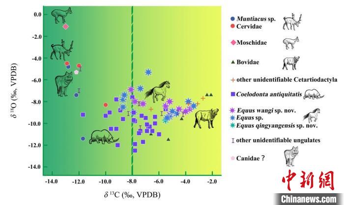 百萬年前泥河灣盆地古人類生存環(huán)境如何？科學家最新研究揭秘