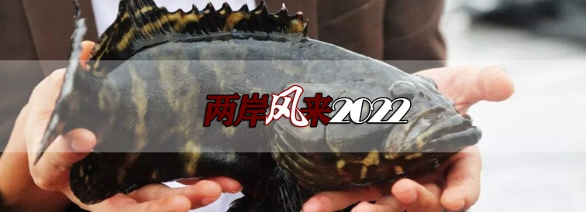 【兩岸風(fēng)來2022】臺灣石斑魚檢出禁藥？ECFA后續(xù)或蒙上一層陰影