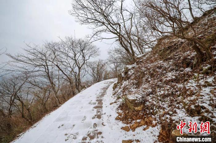 披上銀白棉襖的莫干山 白羽 攝