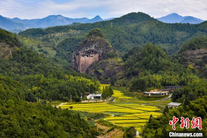 “兩岸夫妻”在閩創(chuàng)辦臺(tái)灣自然教育工坊自助也助人