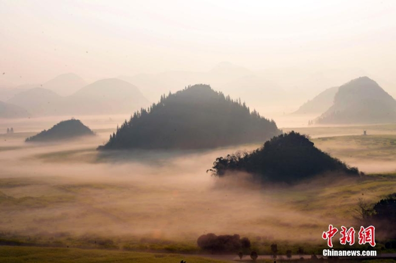 云南羅平：霧里看花別樣景