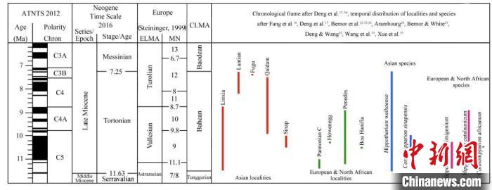 晚中新世早期亞歐大陸三趾馬地史與地理分布?！≈锌圃汗偶棺邓?供圖