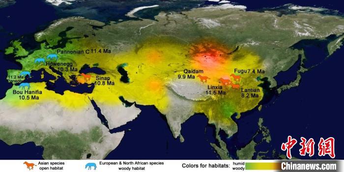 晚中新世早期亞歐大陸三趾馬動(dòng)物地理與生態(tài)環(huán)境。　中科院古脊椎所 供圖