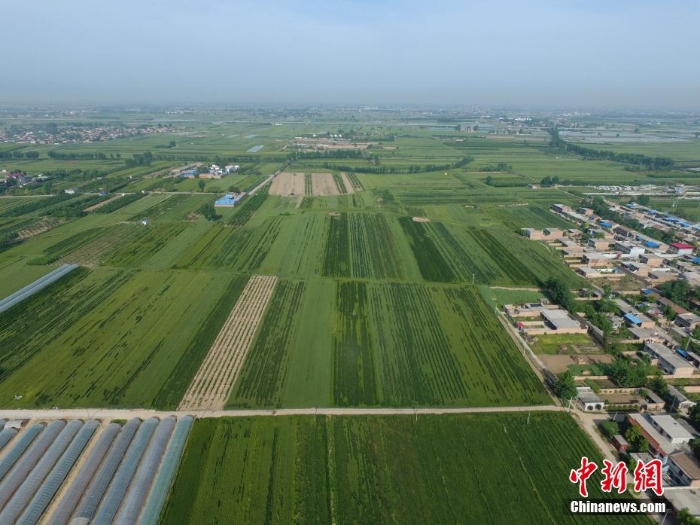 陜西西安：考古發(fā)現(xiàn)西周豐鎬遺址最大一處制陶遺址