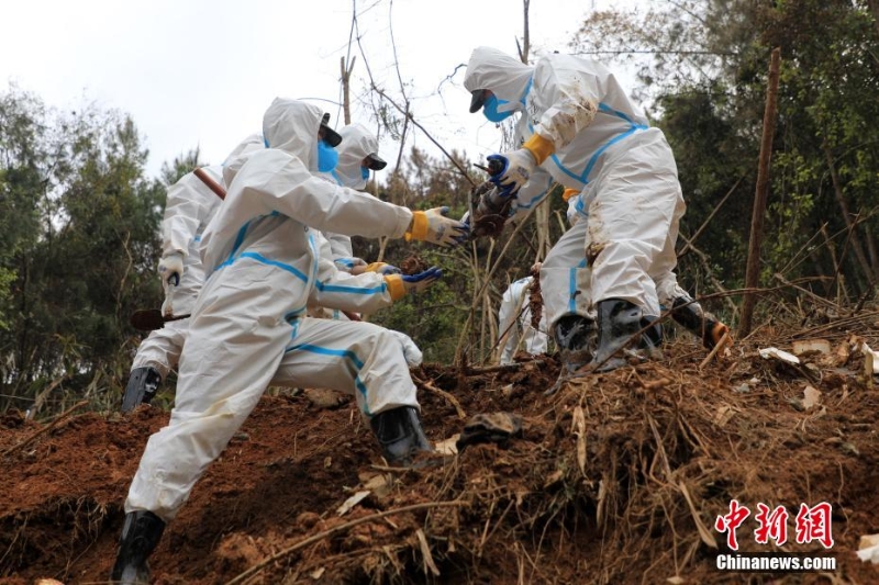 東航墜機(jī)救援現(xiàn)場：武警官兵分批次、分區(qū)域搜索