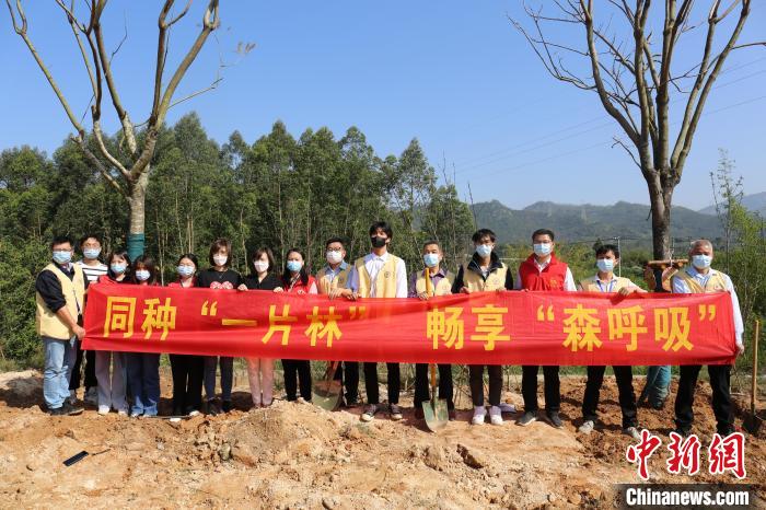 漳臺兩地青年參加植綠護綠活動現(xiàn)場?！」睬鄨F漳州市委供圖