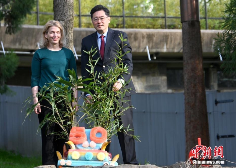 美國(guó)國(guó)家動(dòng)物園慶祝大熊貓抵美50周年