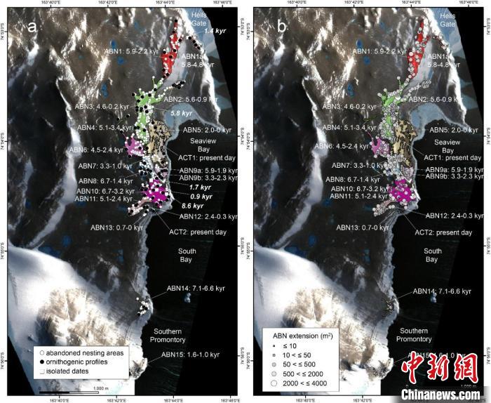 中外學者合作揭示羅斯海最古老企鵝繁殖地歷史