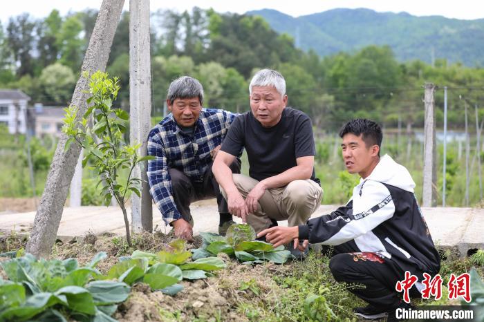 圖為何惠廸與工作人員查看果樹(shù)和蔬菜的長(zhǎng)勢(shì)?！■暮陚?攝