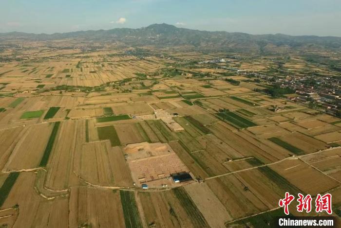 陶寺北墓地全貌(自西向東) 山西省考古研究院供圖