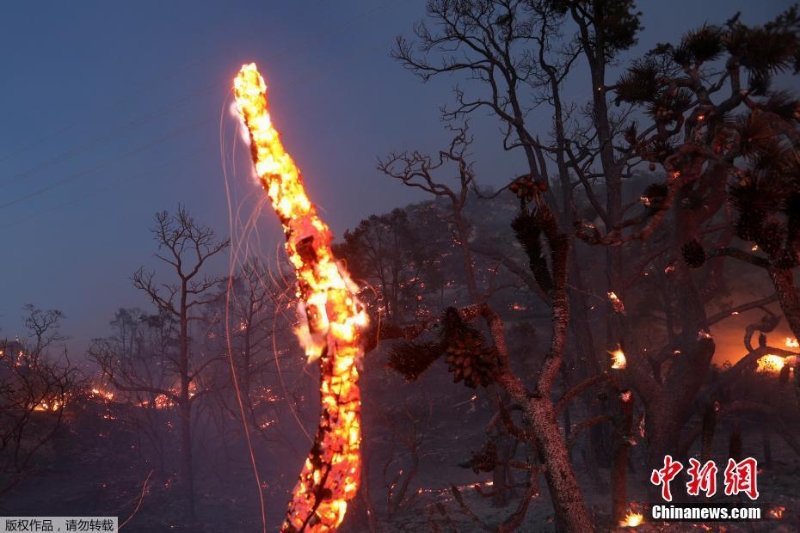 美國加州山火爆發(fā) 火光映紅夜空