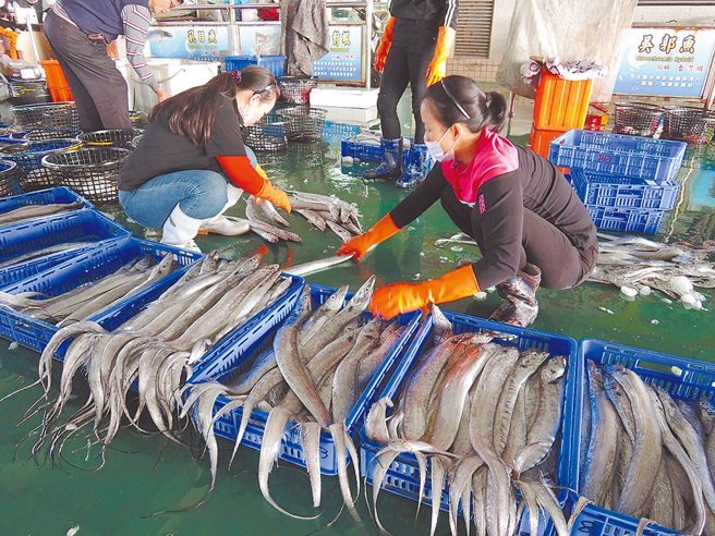 臺(tái)灣白帶魚外包裝被驗(yàn)出新冠病毒，遭大陸暫停進(jìn)口1周。（圖源：臺(tái)灣“中時(shí)新聞網(wǎng)”）