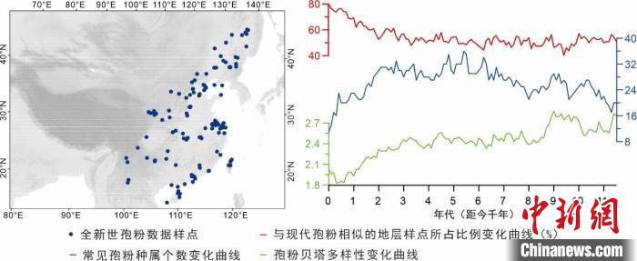 本次孢粉研究相關(guān)圖表對(duì)比顯示?！≈锌圃呵嗖馗咴?供圖