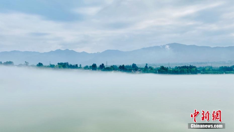 青海尖扎：薄霧、群山、綠樹(shù)勾勒黃河夏日?qǐng)D景