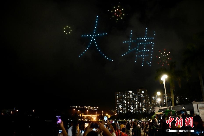 香港大埔海、陸、空匯演慶回歸