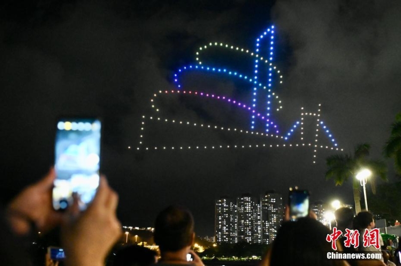 香港大埔海、陸、空匯演慶回歸