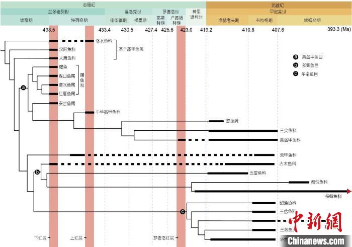 4.38億年前長(zhǎng)江流域是啥模樣？古魚(yú)化石研究為古海洋“揚(yáng)子海”