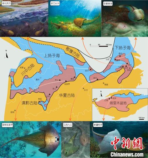 揚(yáng)子海及古魚(yú)化石產(chǎn)地分布(山顯任/古地理圖，縱瑞文/湖北武漢生態(tài)復(fù)原圖，其他生態(tài)復(fù)原圖楊定華繪)?！≈锌圃汗偶棺邓?供圖