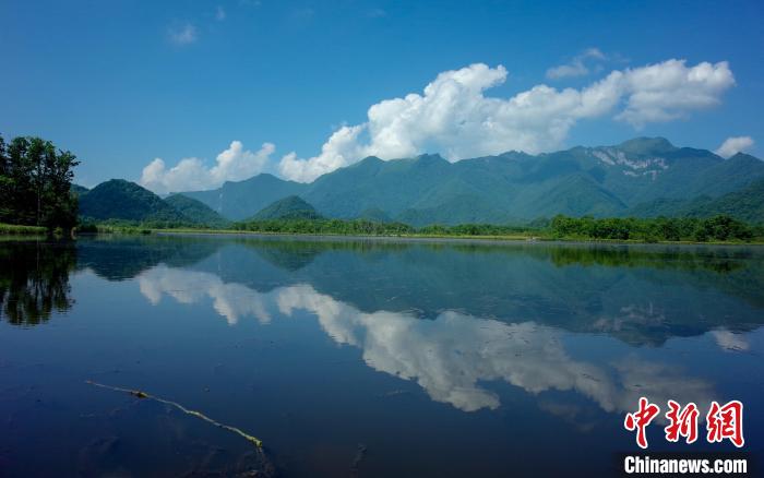 圖為盛夏的神農架大九湖美如仙境 張暢 攝