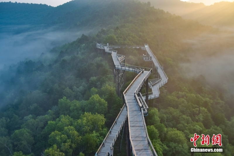 【美麗中國·網(wǎng)絡媒體生態(tài)行】“綠動”陜西 三秦大地描繪“只此青綠”生態(tài)圖景