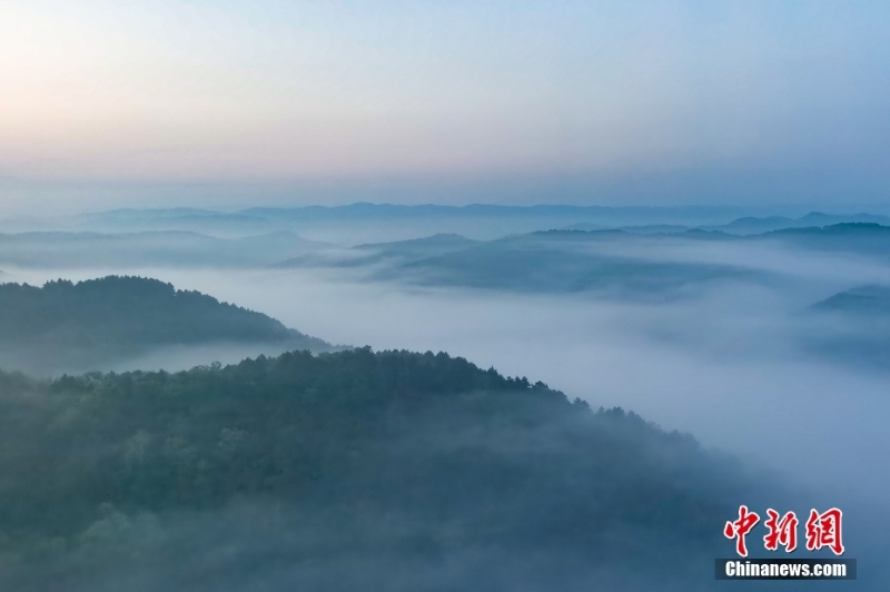 【美麗中國·網(wǎng)絡媒體生態(tài)行】“綠動”陜西 三秦大地描繪“只此青綠”生態(tài)圖景