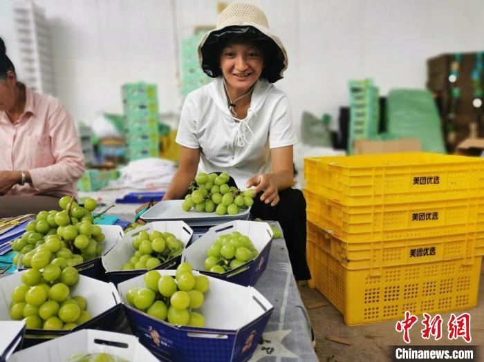 圖為大理漾濞彝族自治縣“00后”姑娘楊字梅，通過葡萄線上售賣產(chǎn)業(yè)鏈增收。　施安 攝