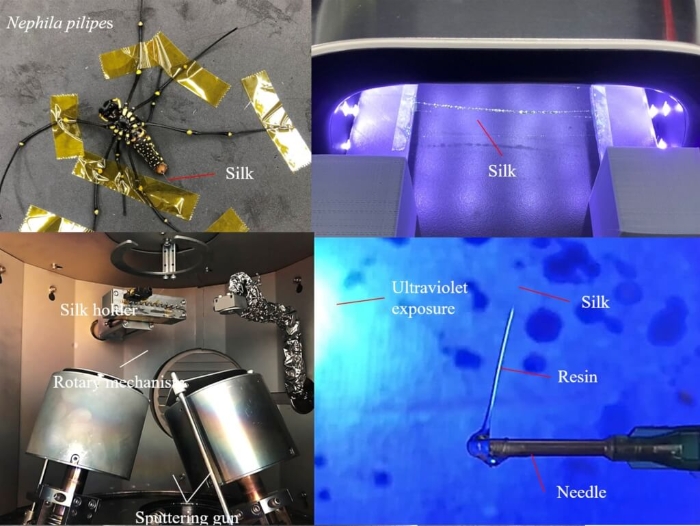 圖為蜘蛛絲光纖制作過程。 圖片來源：臺(tái)灣陽明交通大學(xué)