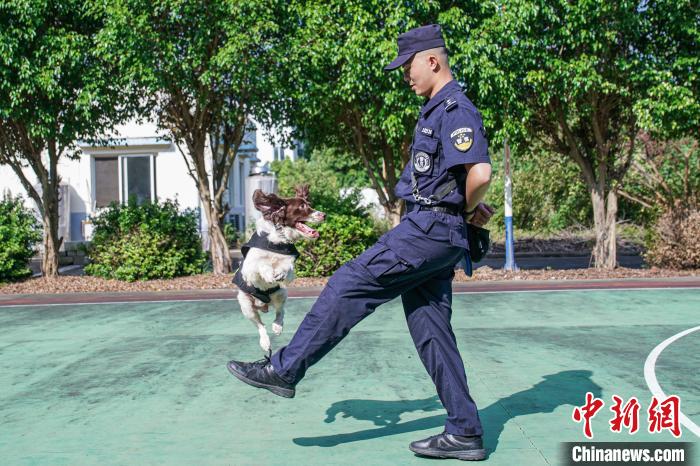 廣西南寧鐵路警方高溫天氣堅持訓(xùn)犬確保暑運安全