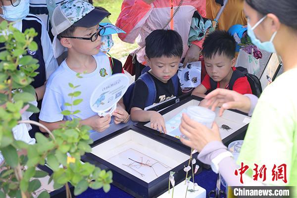 第三屆粵港澳自然教育季“仲夏自然教育開放日”活動現(xiàn)場 廣東省林業(yè)局 供圖