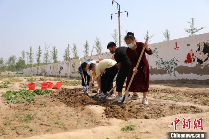 資料圖：河北衡水利民路小學(xué)創(chuàng)設(shè)的“耕讀苑”勞動基地，各班學(xué)生自己設(shè)計班牌，查資料，選擇農(nóng)作物種子。金莉莉 攝