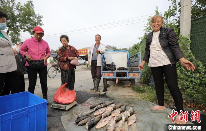 新鮮魚獲上市?！￡惪?攝